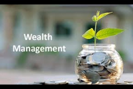 wealth manage image (1).jpg