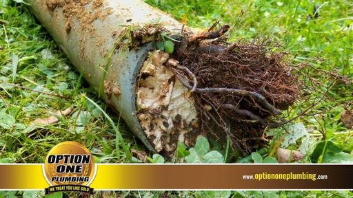 drain cleaning in Charlotte, NC.jpg