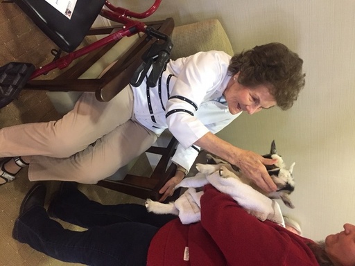 Waltonwood Cotswold Resident During Pet Therapy.jp